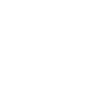 AIG