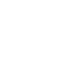 STM
